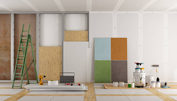 Best Black Mold Removal  in West Liberty, IA